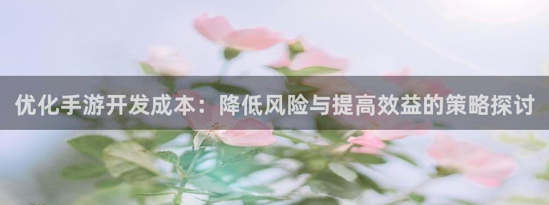 pc28大神软件客户端下载:优化手游开发成本:降低风险与提高