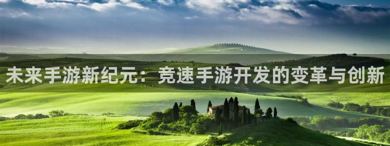 28加拿大大神下载：未来手游新纪元：竞速手游开发的变革与创新