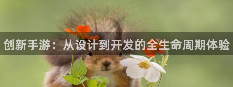 28大神结果查询：创新手游：从设计到开发的全生命周期体验