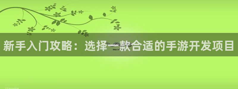 非凡游戏app官网下载：新手入门攻略：选择一款合适的手游开发