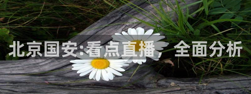 nba直播球友：北京国安:看点直播，全面分析