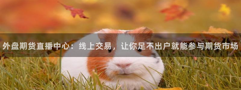 球友直播平台：外盘期货直播中心：线上交易，让你足不出户就能参与期货市场