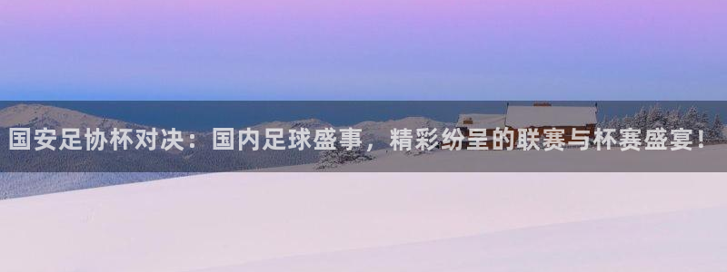 球友体育在线直播：国安足协杯对决：国内足球盛事，精彩纷呈的联赛与杯赛盛宴！