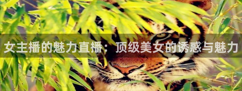 球友体育直播：女主播的魅力直播：顶级美女的诱惑与魅力